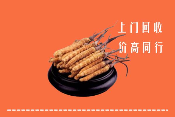 附近收购：涞源冬虫夏草回收多少钱每克